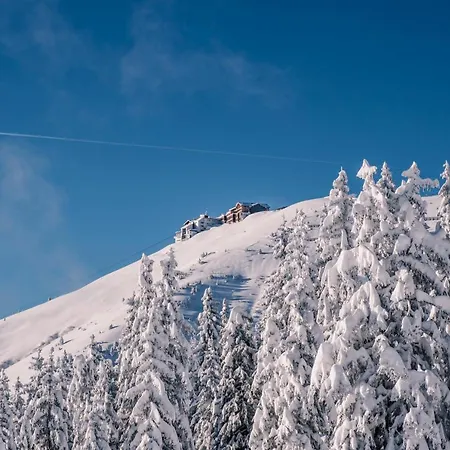 The Steinbock With Garden And Bbq * Zell am See