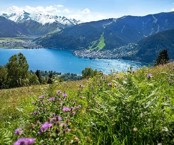 The Steinbock With Garden&bbq *