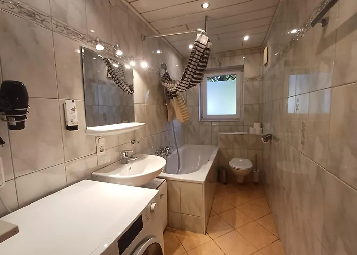 The Steinbock With Garden And Bbq Feriehus Zell am See