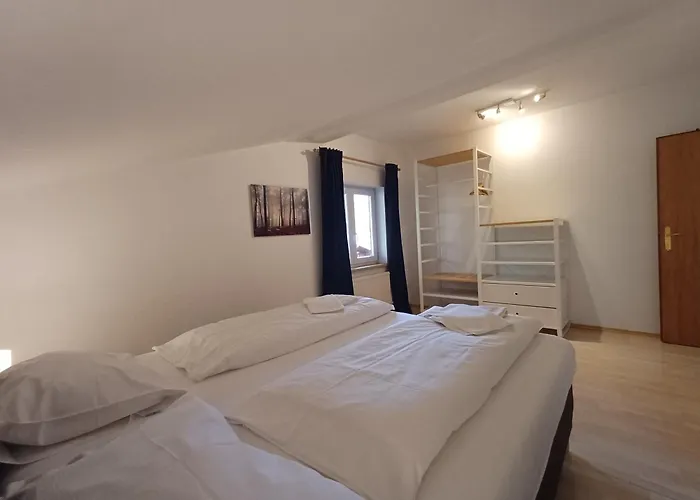 The Steinbock With Garden And Bbq Holiday home