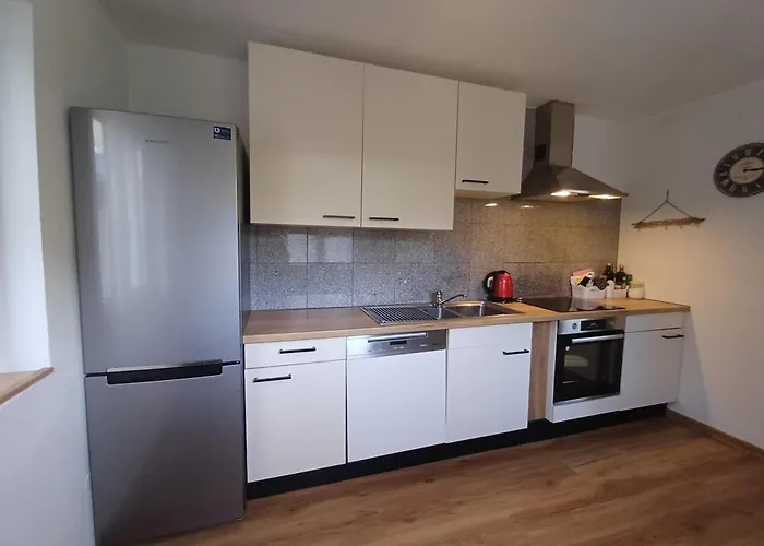 The Steinbock With Garden&bbq * Zell am See