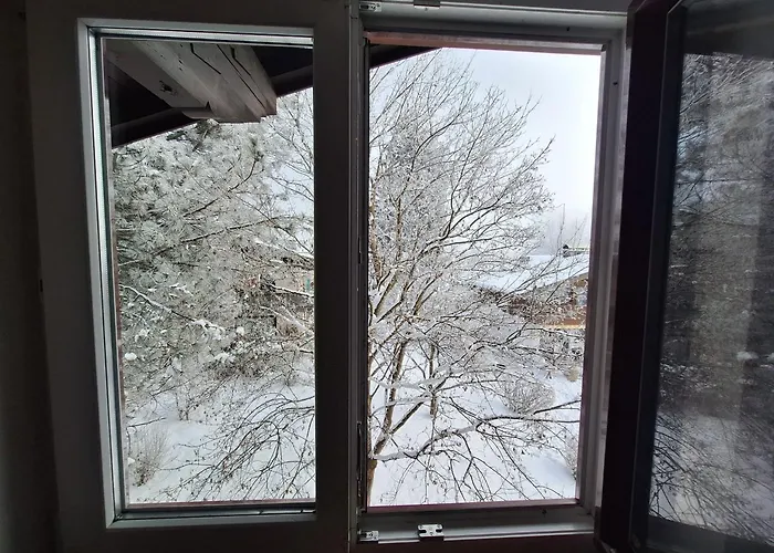 The Steinbock With Garden And Bbq * Zell am See