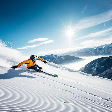 The Steinbock With Garden And Bbq * 滨湖采尔