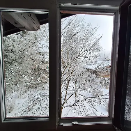 The Steinbock With Garden And Bbq * 滨湖采尔